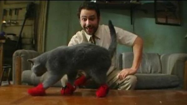 Charlie-its-always -sunny