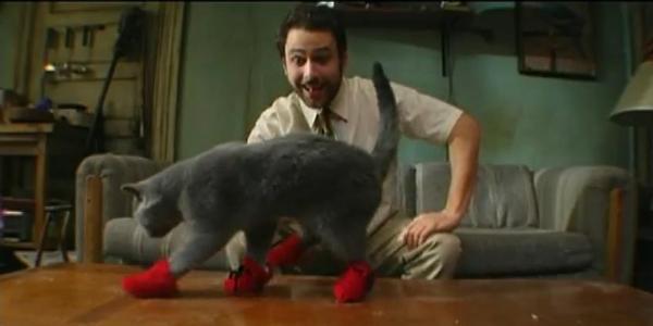 Charlie-its-always-sunny
