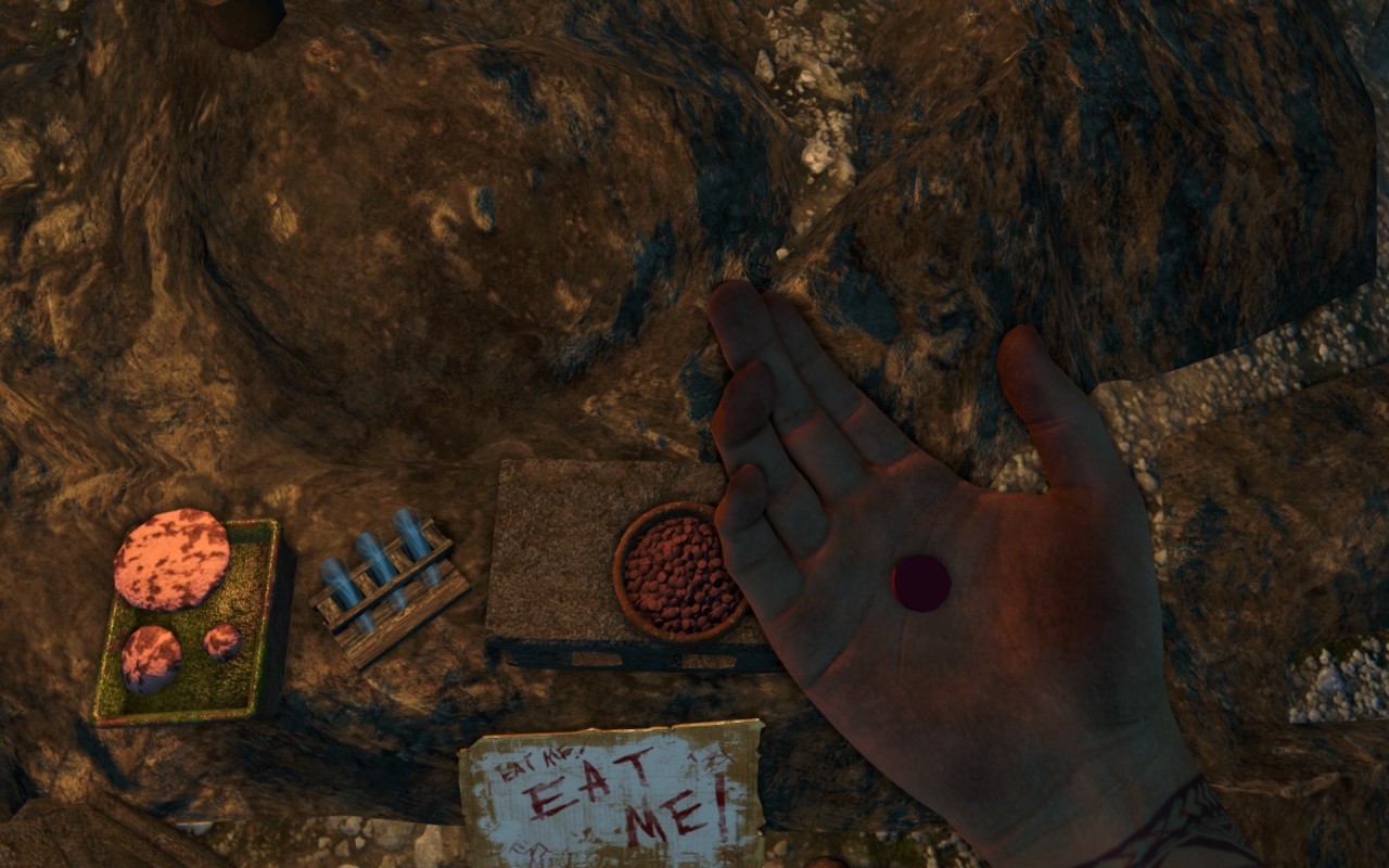 farcry3d3d1120121130190