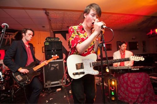 palma-violets