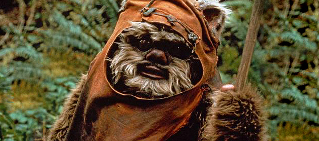 wicket