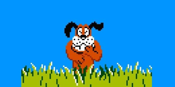 Duck hunt
