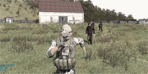 dayz
