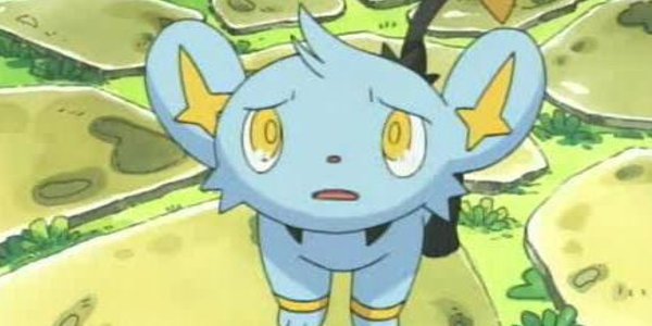 Shinx