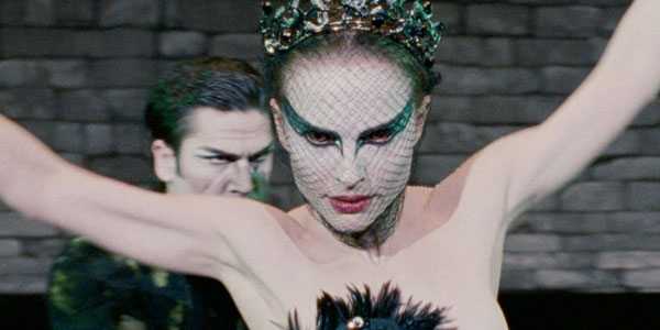 Black_Swan_38026