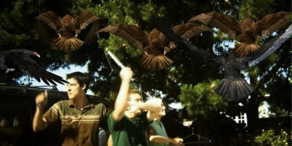 Birdemic