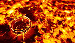 Lord Of The Rings Return King Gif