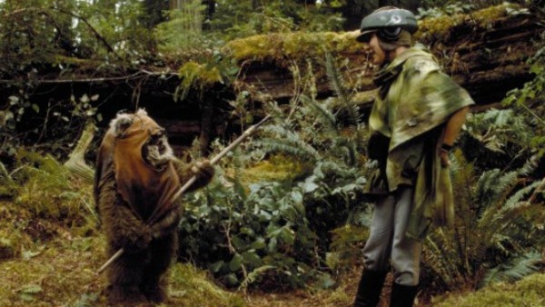 Return Of The Jedi Ewok And Leia