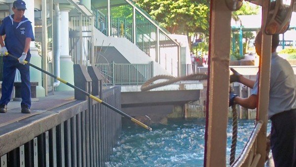 The Last Witch Hunter Vin Diesel Beard