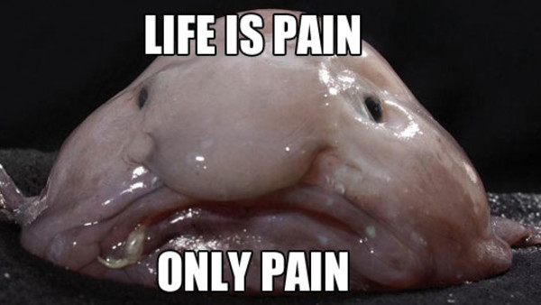 Lobless Fish 6 Miserable Fish Who Just Want To End It All