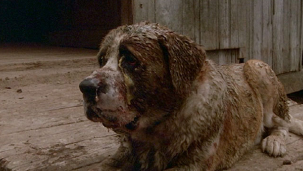 Stephen King Movies Ranked