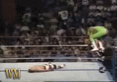 Diving Elbow Drop 20110524 1795251617 Gif