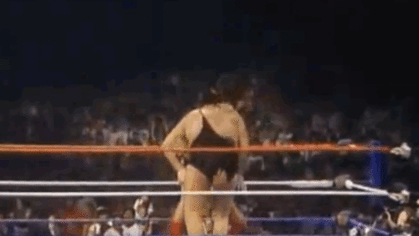 Hulk Andre Gif