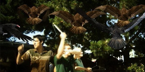 Birdemic Birds