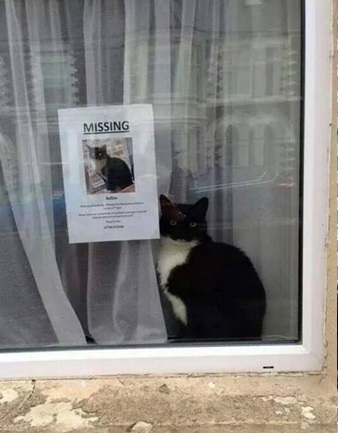 Twitter (via Sh*t London)
