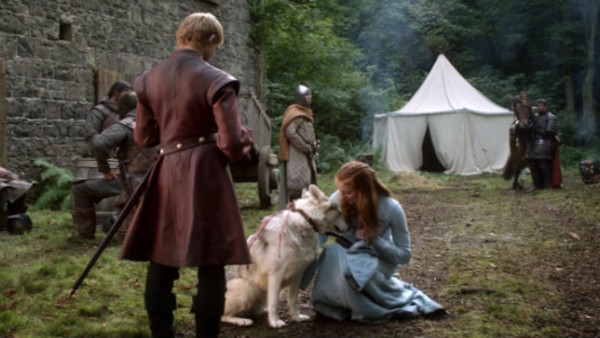 Game Of Thrones Stark