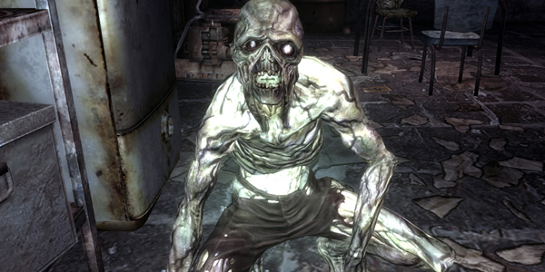Bethesda Softworks