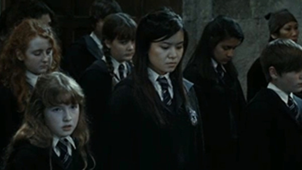 Dumbledore's Army Harry Potter