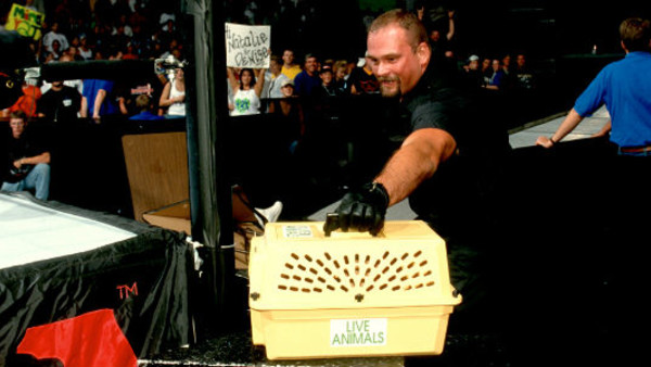 Kai En Tai Val Venis