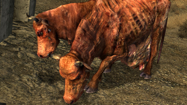 Brahmin Fallout