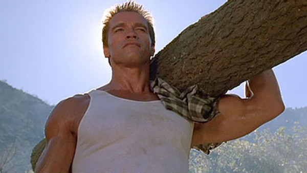 Commando tree
