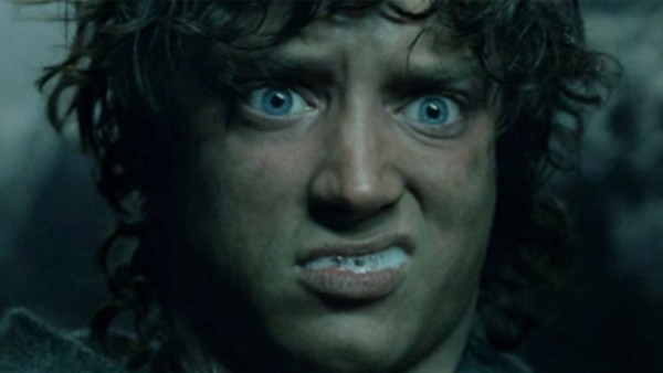Lord Of The Rings Frodo Foaming