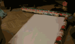 Cat Gift Wrapped Gif Gif