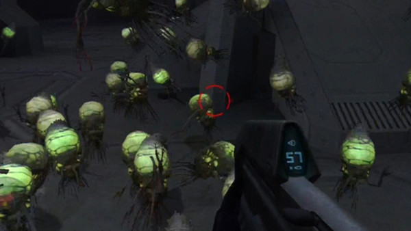 Halo Flood