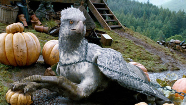 Harry Potter Buckbeak