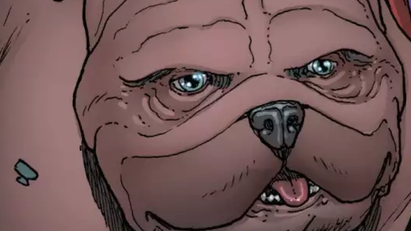 The Avengers Captain America Iron Man Captain Marvel Ghost Rider Black Panther