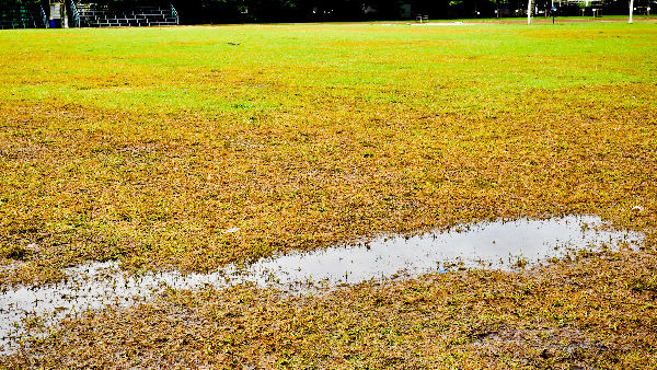 Wet Football Field