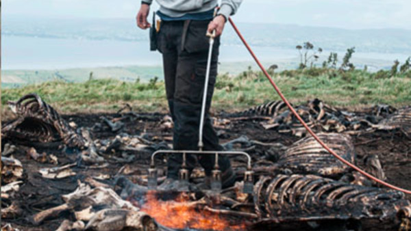 Game Of Thrones Fire