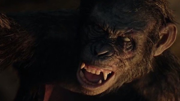 Dawn Of The Planet Of The Apes