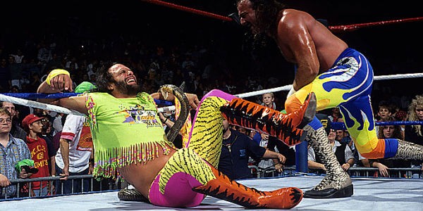 Jake Roberts Randy Savage Snake Attack