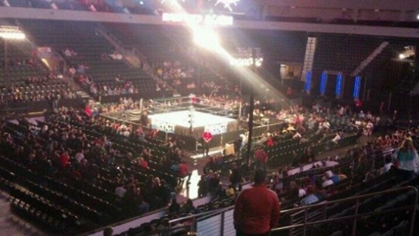 TNA Attendance