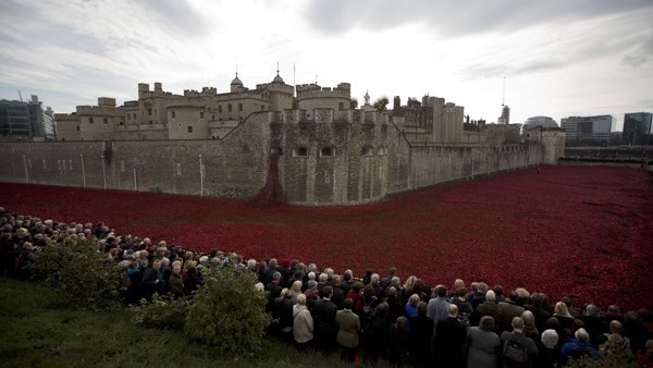 People stand together before observing a two minutes silence during a remembrance day ceremony beside the ceramic poppy art installation by artist Paul Cummins entitled 'Blood Swept Lands and Seas of Red' in the dry moat of the Tower of London in 