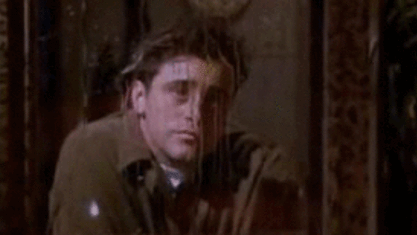 Joey Raindrops friends