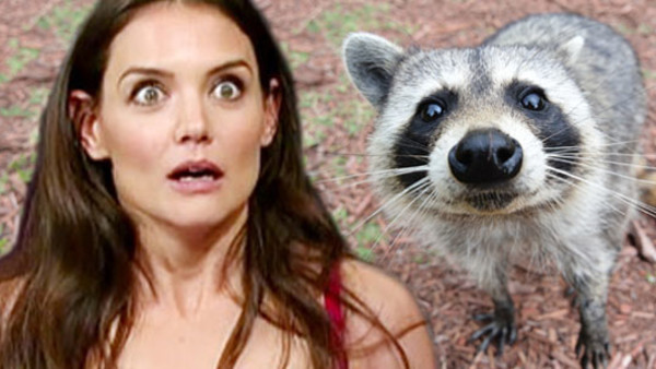 16 Weird Celebrity Phobias They Never Wanted You To Know