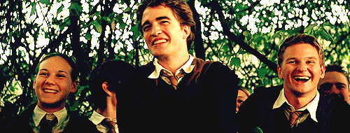 Hufflepuff Students Cedric Diggory Harry Potter Gif