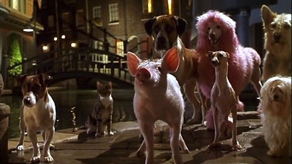 Babe: Pig In The City