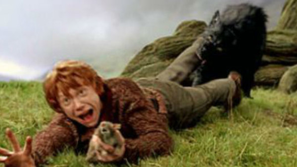 Harry Potter Ron Weasley