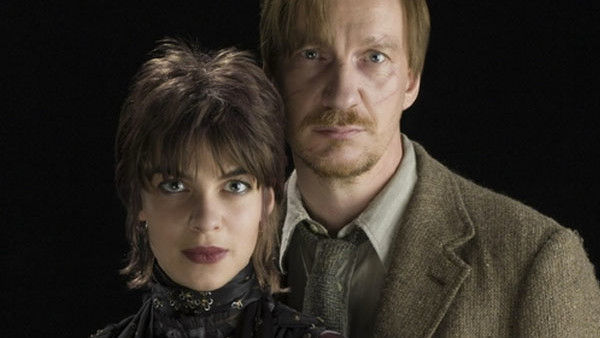 Harry Potter Lupin And Tonks
