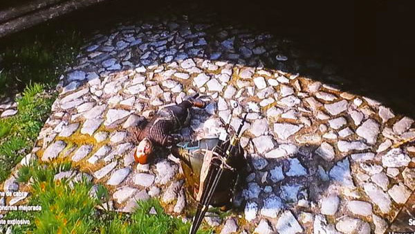 Tyrion Lannister The Witcher 3 Cameo