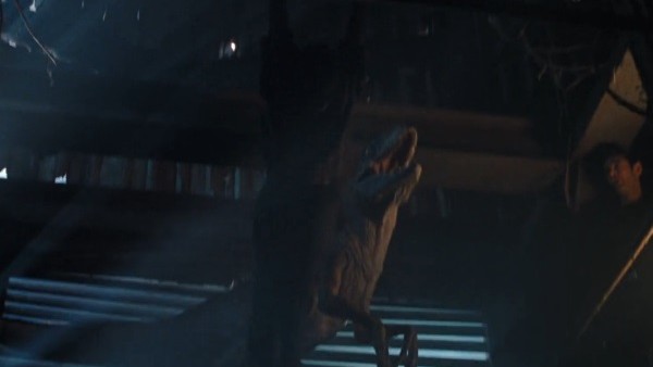 The Lost World Gymnastics