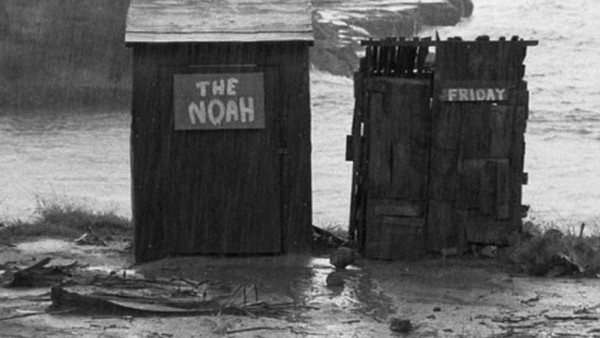 The Noah