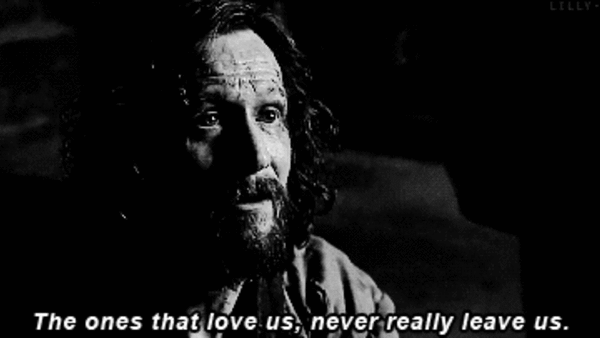 Sirius Black Harry Potter The Ones That Love Us Never Leave Us Gif