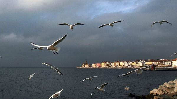 In this photo taken Tuesday, Jan. 27, 2015, shows Lake Bled in Slovenia with a island and the Church of Our Lady on it. Tucked in the southwestern corner of Slovenia, between Austria and Italy, stands a spectacular landscape: a lush tiny island in the mid