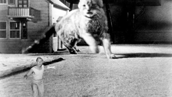 Incredible Shrinking Man