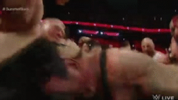 Lesnar Undertaker Pull Apart Brawl