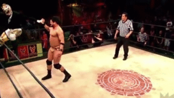 Fenix Armdrag Marty The Moth